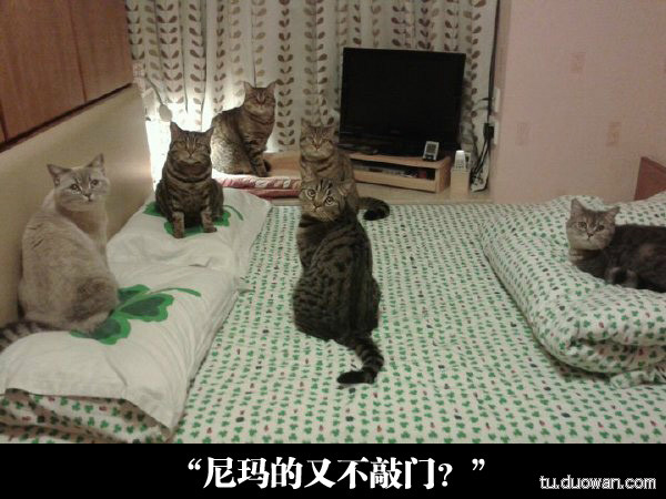 我再也不能到那儿乞讨了
