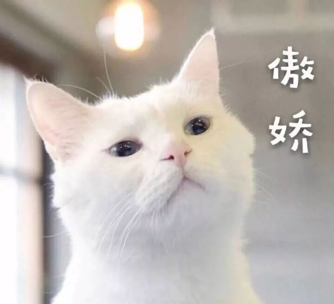圣诞礼物清单｜大猪蹄子、心机闺蜜、小祖宗的都有！