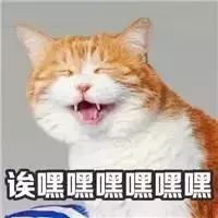 圣诞礼物清单｜大猪蹄子、心机闺蜜、小祖宗的都有！