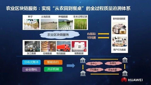 我们总结了13个区块链改造农业的经典案例