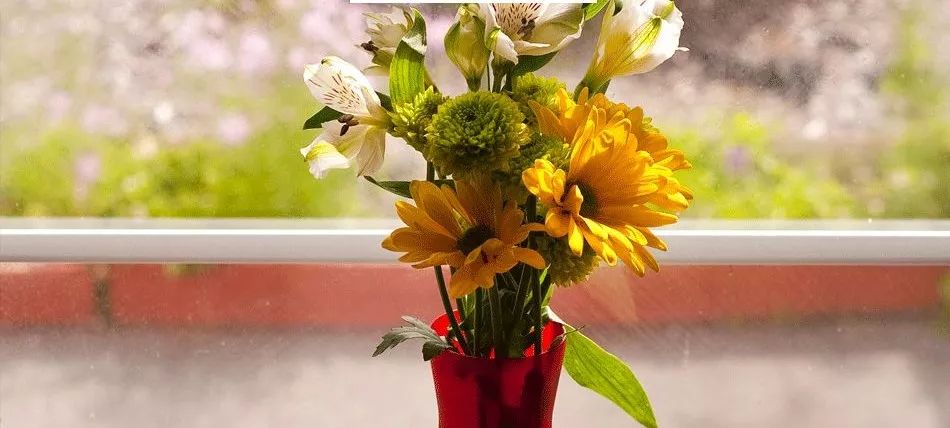 “伪精致”，正在掏空中国年轻人