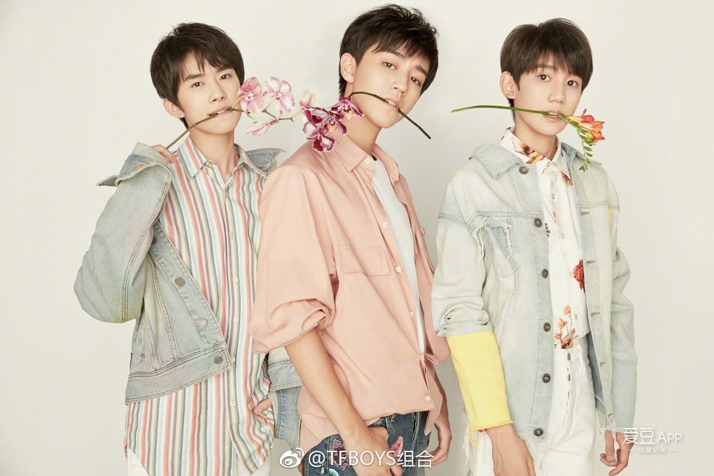 「TFBOYS」「新闻」190127 TFBOYS组合出道2000天，初心未改陪伴无悔