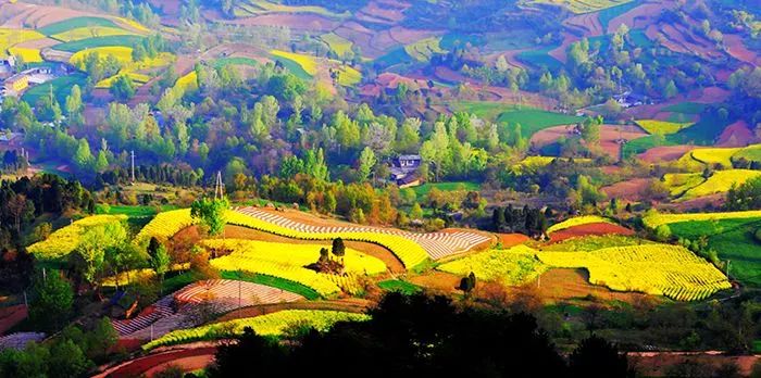 正在公示！甘肃1县9企业拟命名为全国示范