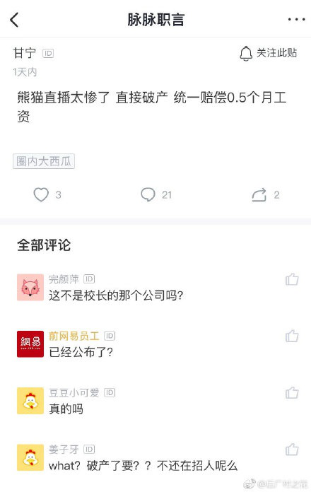 熊猫tv怎么突然倒闭了熊猫直播破产真相是什么内幕曝光