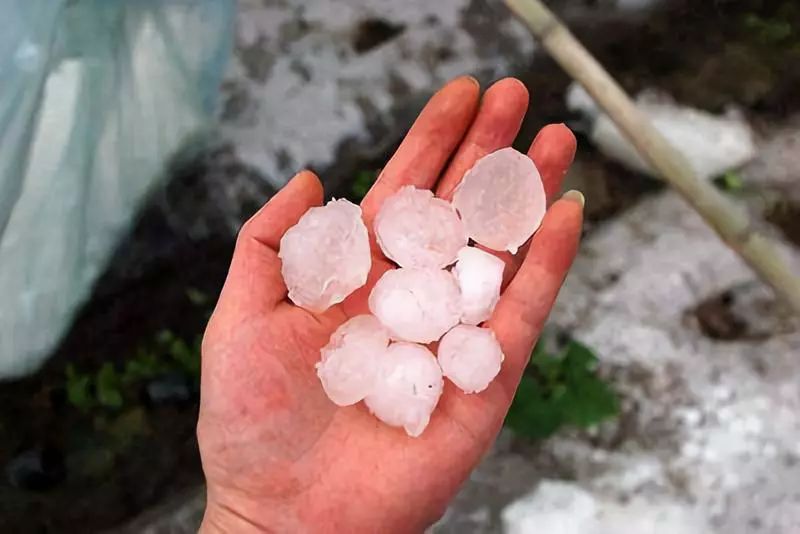春天有约，阴雨仍在线，期待下周暖阳现