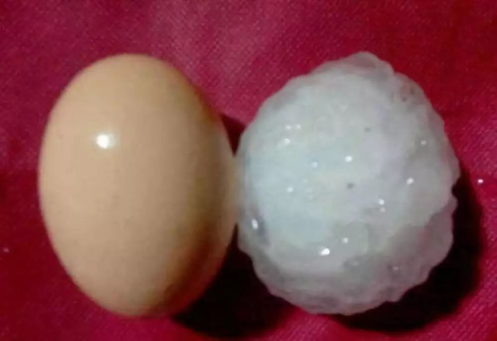 春天有约，阴雨仍在线，期待下周暖阳现