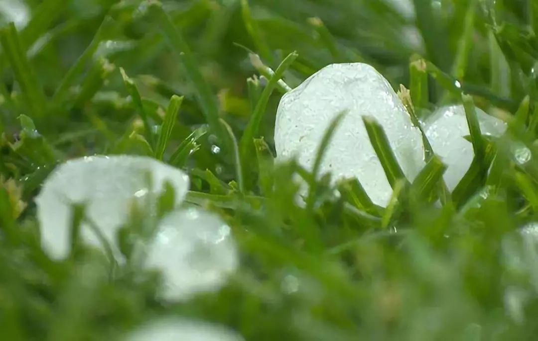春天有约，阴雨仍在线，期待下周暖阳现
