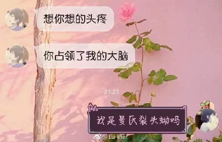 直女是什么意思呀(直女谈恋爱的特征)