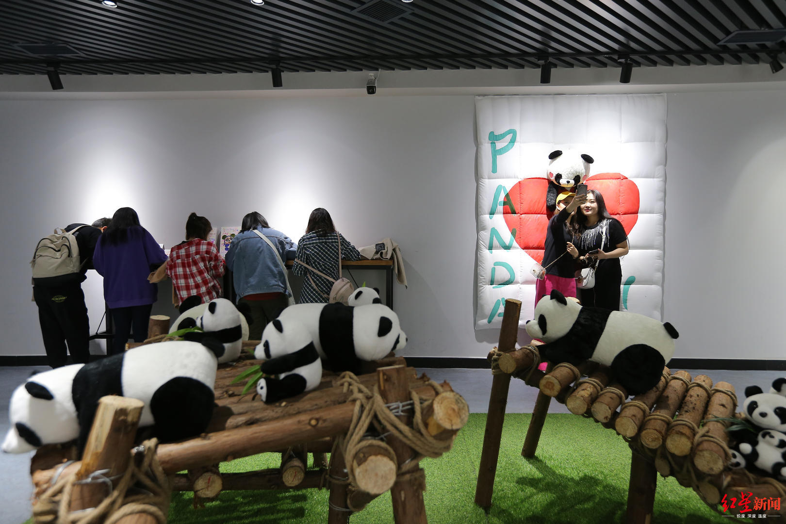 大熊猫的巨星之路：与世界相识150年，抢救珍贵照片曝光