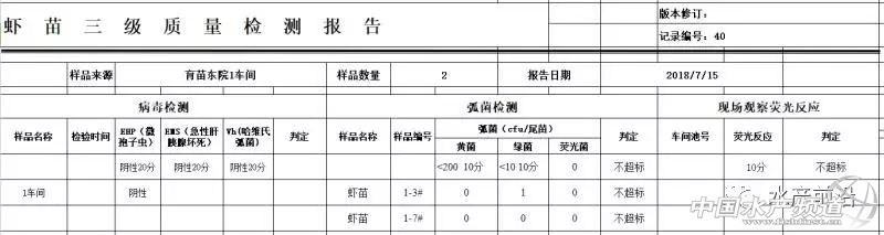 顺德甲鱼市场在哪里(养了12年从未亏本，他有独特的“致富经”，人人都可以学)