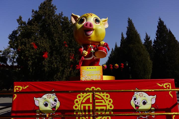 天蓬元帅处处留痕温州带“猪”字的共计37个呢！