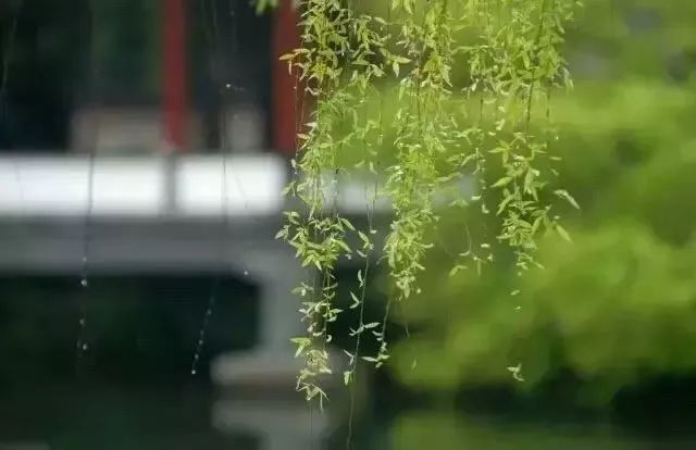 30首春天的经典歌曲，让你感受最动听的春天！