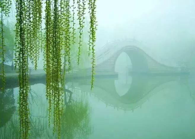 30首春天的经典歌曲，让你感受最动听的春天！