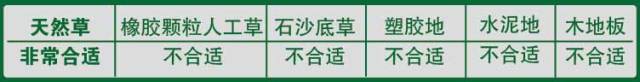 足球鞋加ag和hg有什么区别(如何根据场地选择足球鞋)