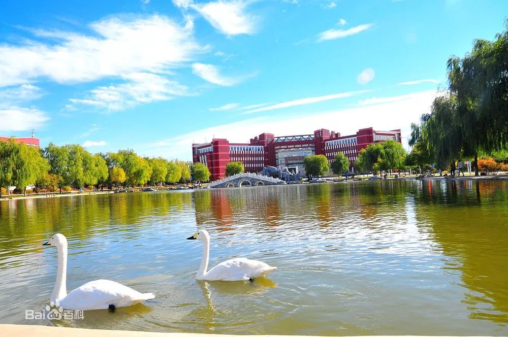 2019内蒙古自治区大学排名已出炉！你的母校跻身前三没？