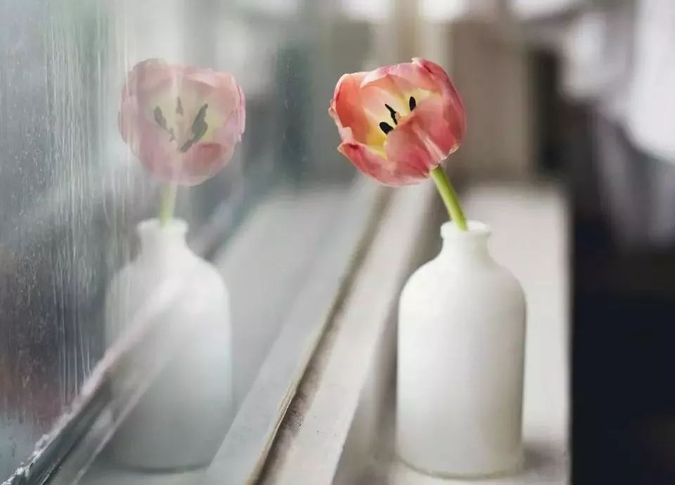 20首禅意小诗，20种人生境界，总有一句让你豁然开朗