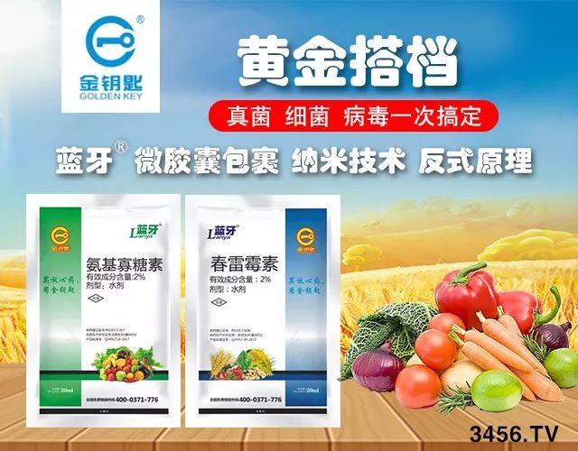 真菌、细菌、病毒病，三大癌症死期到了！一招治多病，一次全搞定！（黄金搭档药剂配方）