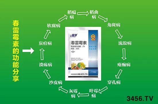 真菌、细菌、病毒病，三大癌症死期到了！一招治多病，一次全搞定！（黄金搭档药剂配方）