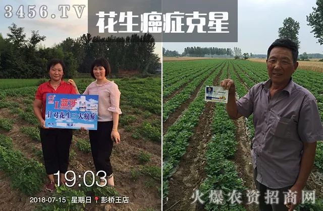 真菌、细菌、病毒病，三大癌症死期到了！一招治多病，一次全搞定！（黄金搭档药剂配方）