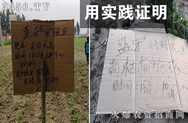 真菌、细菌、病毒病，三大癌症死期到了！一招治多病，一次全搞定！（黄金搭档药剂配方）