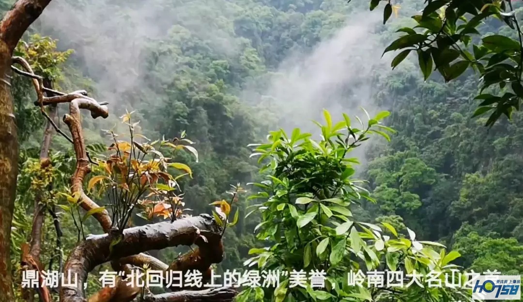 鼎湖山：古刹听雨，临溪观瀑，绿林洗肺，是人生的极致诱惑