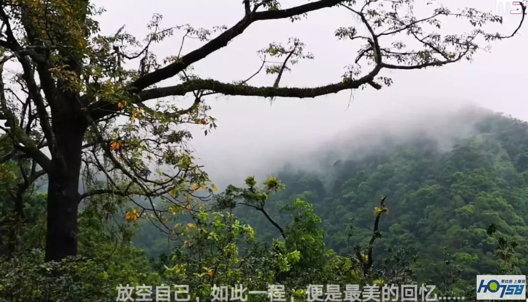 鼎湖山：古刹听雨，临溪观瀑，绿林洗肺，是人生的极致诱惑