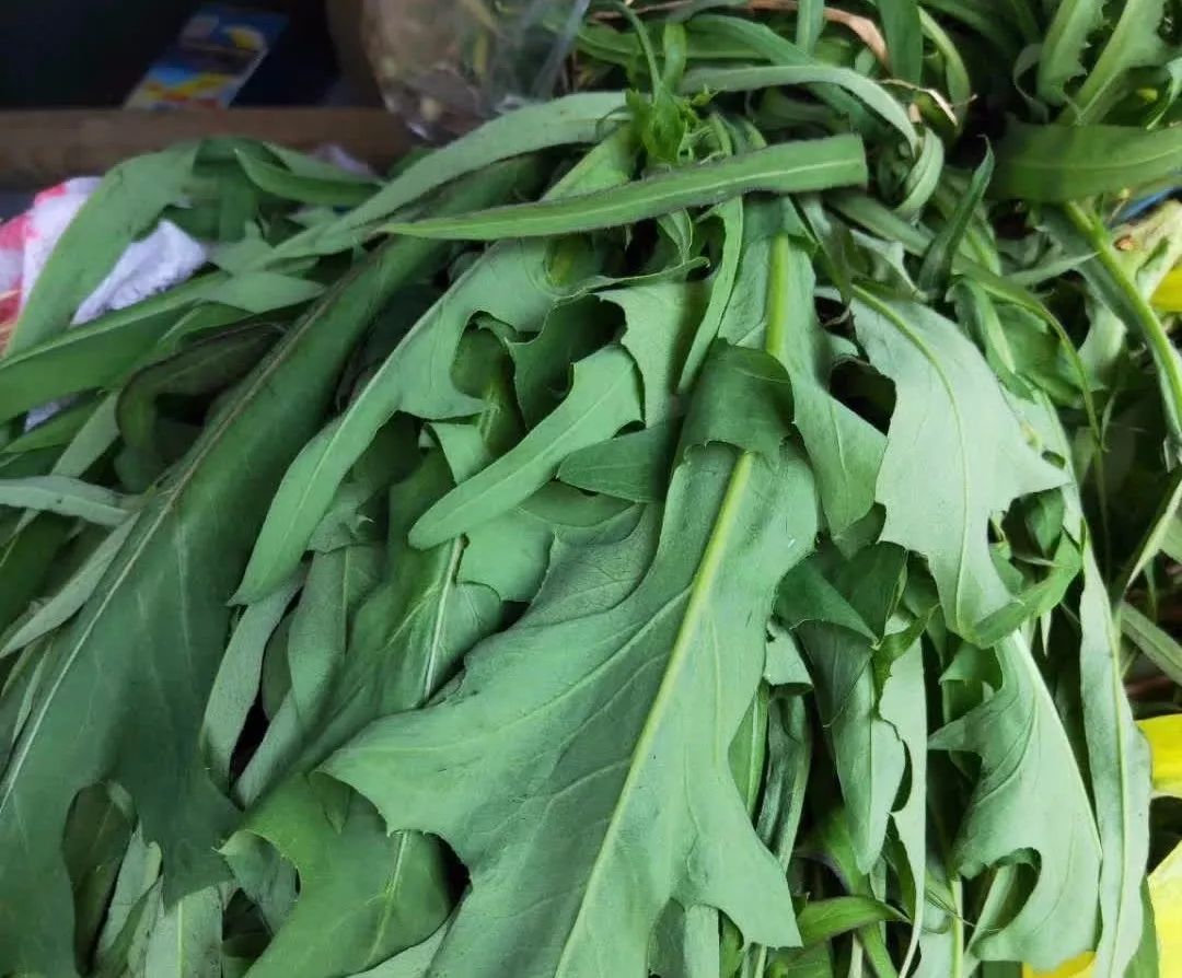 春天才有的8种野菜，吃过这5种我服！