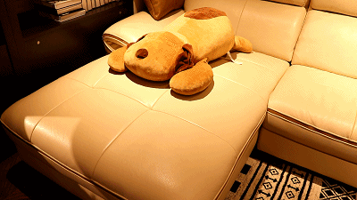 内幕曝光！宜宾买了房子的注意，赶紧告诉你的家人！