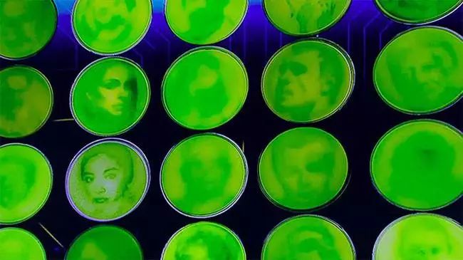 看什么《最强大脑》，不如看水哥王昱珩