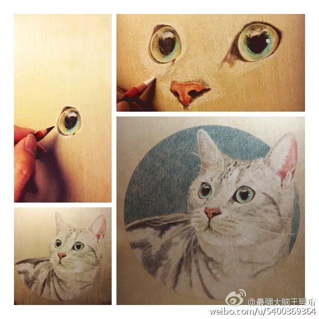 看什么《最强大脑》，不如看水哥王昱珩