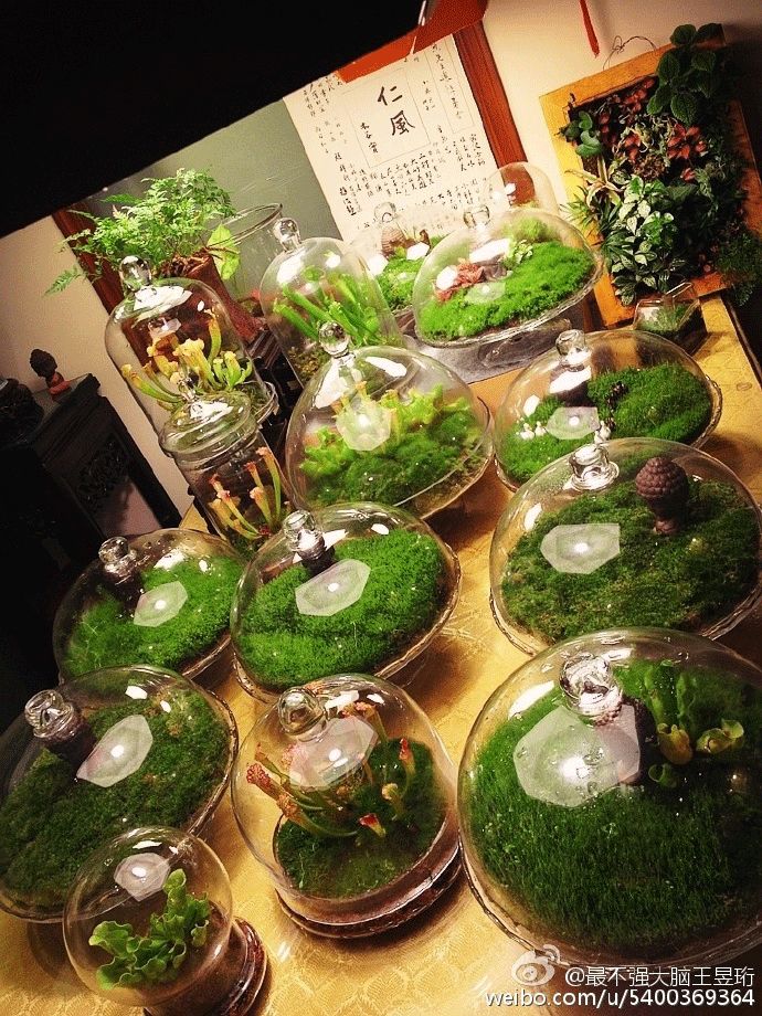 看什么《最强大脑》，不如看水哥王昱珩