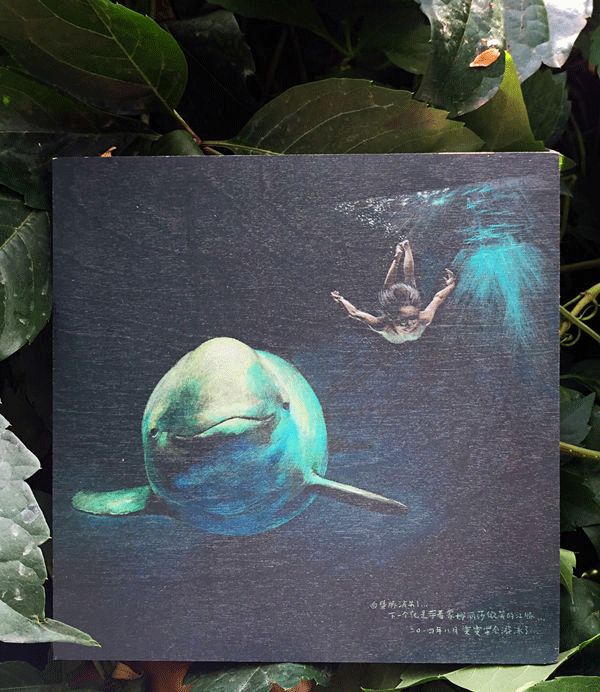 看什么《最强大脑》，不如看水哥王昱珩