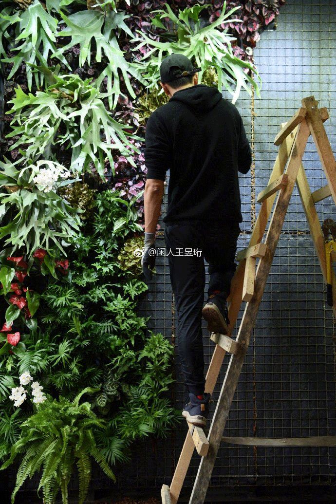 看什么《最强大脑》，不如看水哥王昱珩