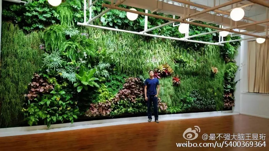 看什么《最强大脑》，不如看水哥王昱珩