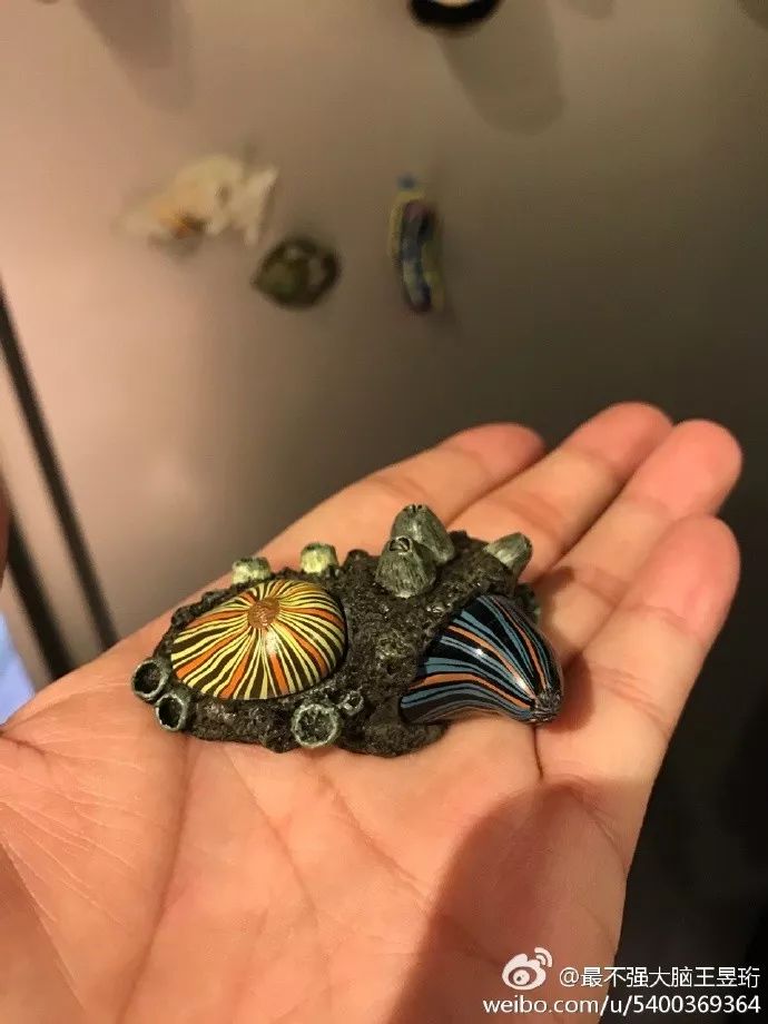 看什么《最强大脑》，不如看水哥王昱珩