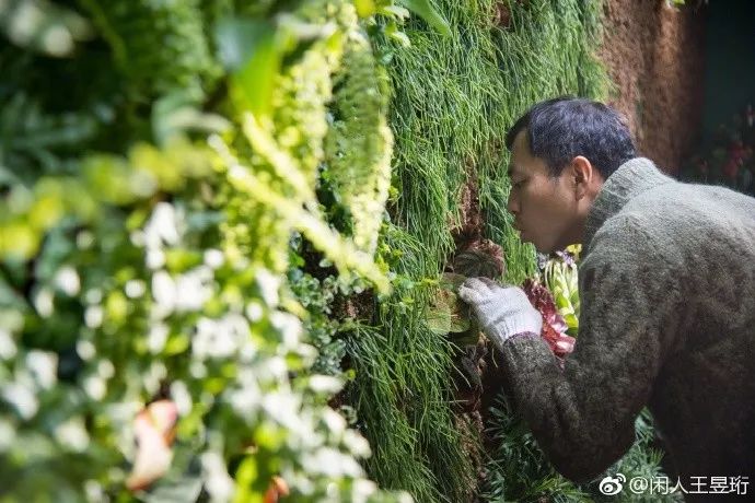 看什么《最强大脑》，不如看水哥王昱珩