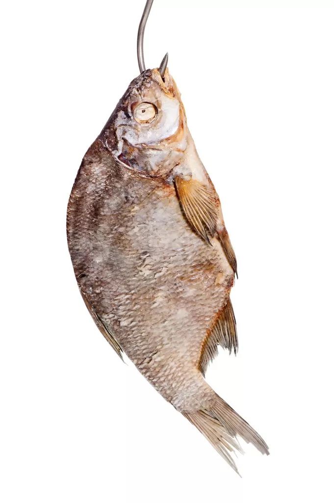 汝非咸鱼，焉知咸鱼之乐