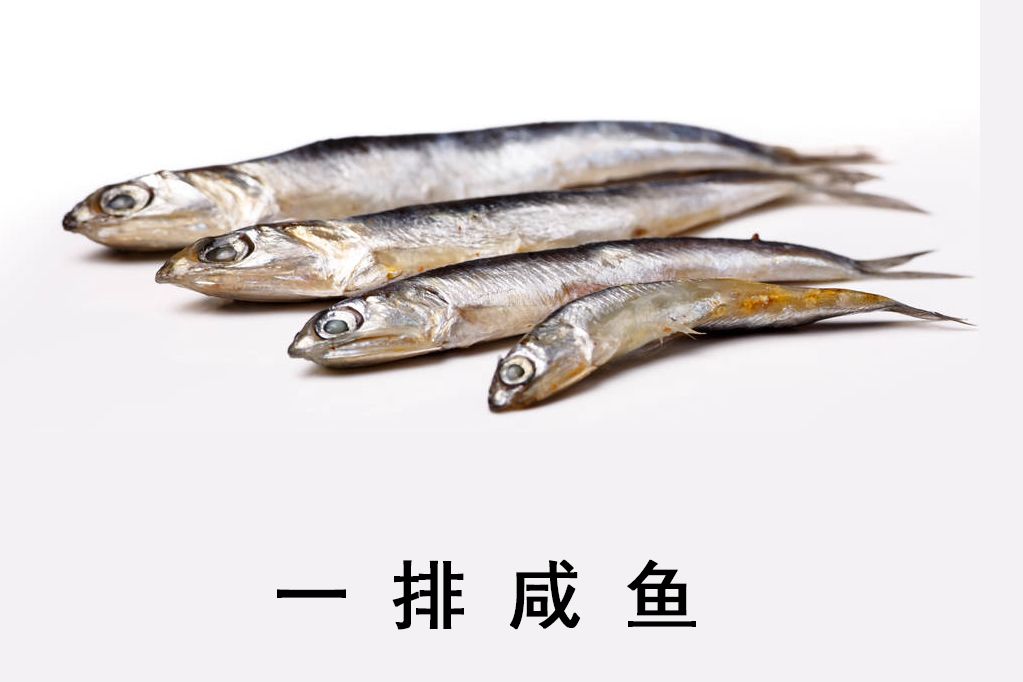 汝非咸鱼，焉知咸鱼之乐