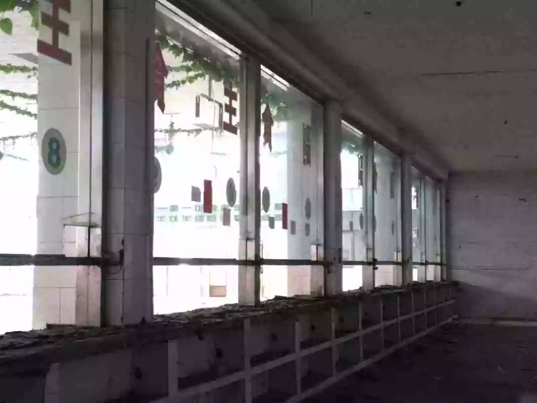 关键词：枣庄师范，百年老校，青春记忆