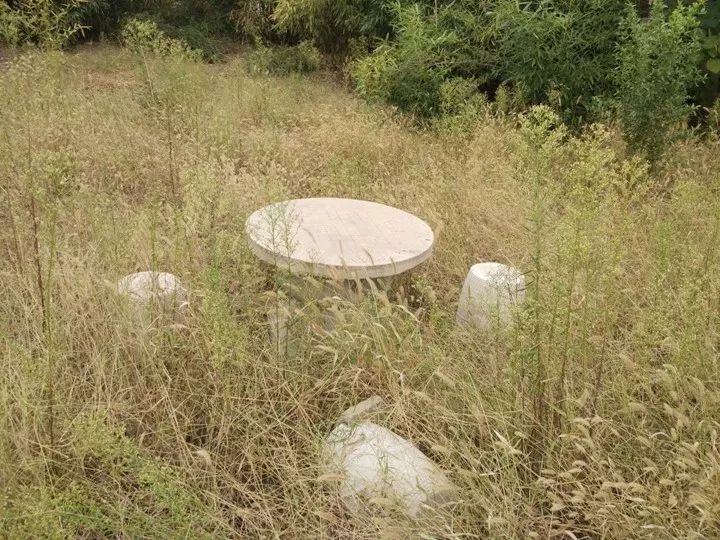 关键词：枣庄师范，百年老校，青春记忆