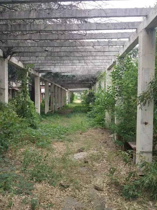 关键词：枣庄师范，百年老校，青春记忆