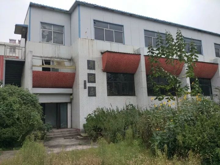 关键词：枣庄师范，百年老校，青春记忆