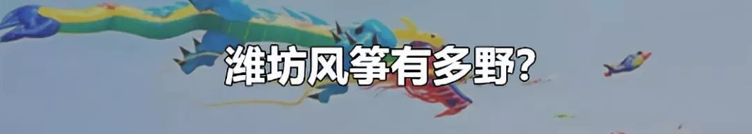 cba哪个省实力最强(谁是中国最强篮球大省？)