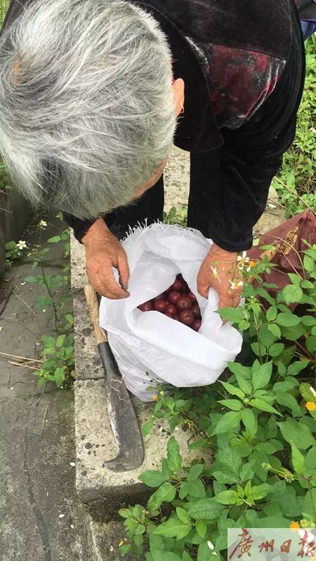 惊了！有人专门在高速路肩违停干这种事！扩散提醒：会要命！