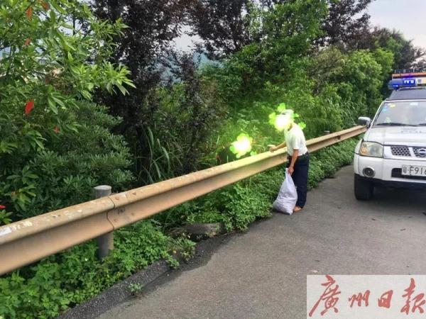 惊了！有人专门在高速路肩违停干这种事！扩散提醒：会要命！