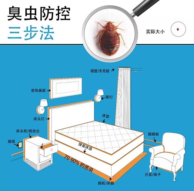 家裡發現臭蟲 應該怎麼消滅它們