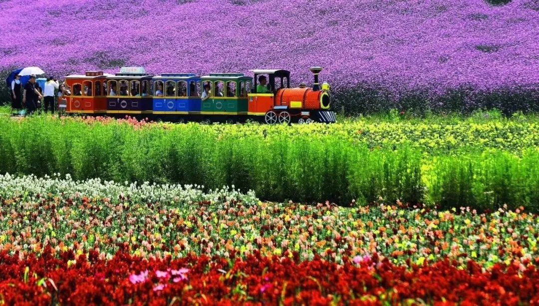 快看！西北大学在宜昌又有大动作