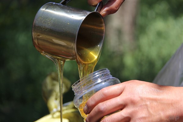 经常喝蜂蜜水，身体会发生5个意想不到的好收获