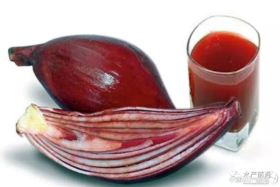 从红葱中分离得到的化学成分主要有萘酚及其葡萄糖苷