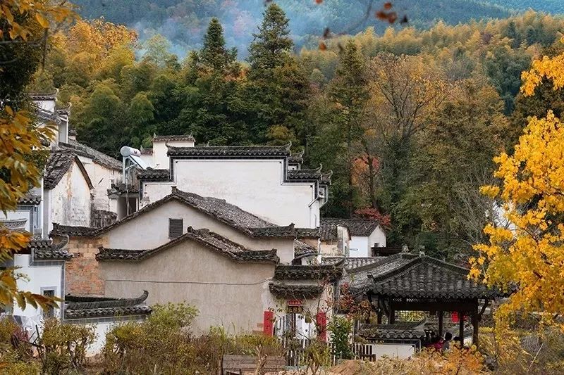 免费~半价！苏州及周边20个景点又有优惠！